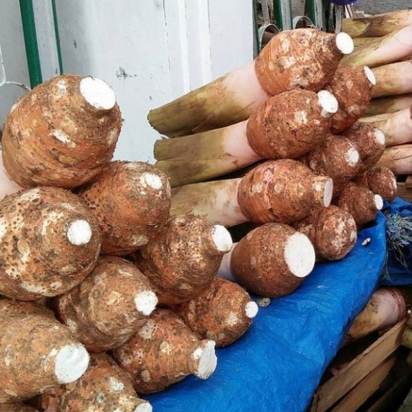 Keripik Talas